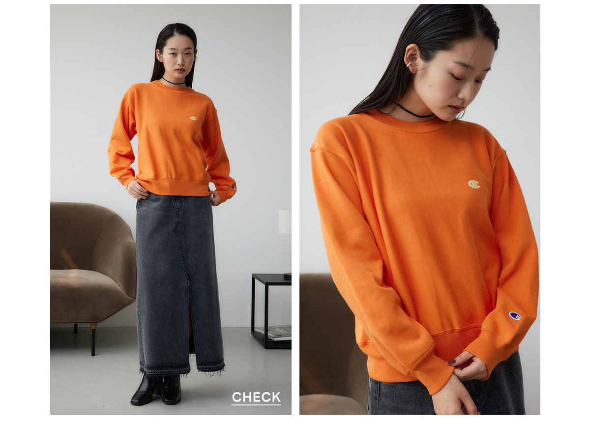 Champion REVERSE WAVE SWEAT