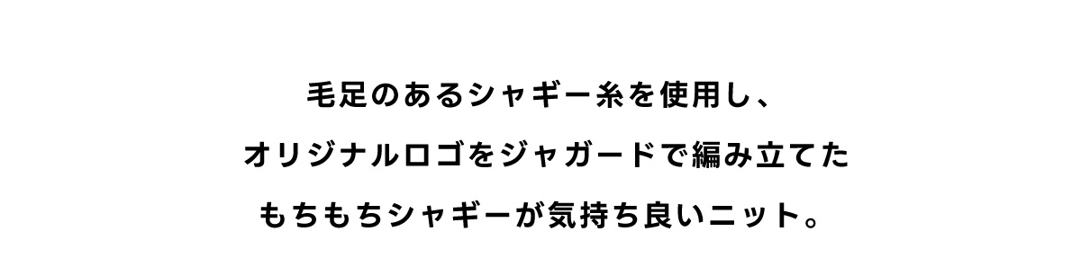 シャギージャガードロゴニット