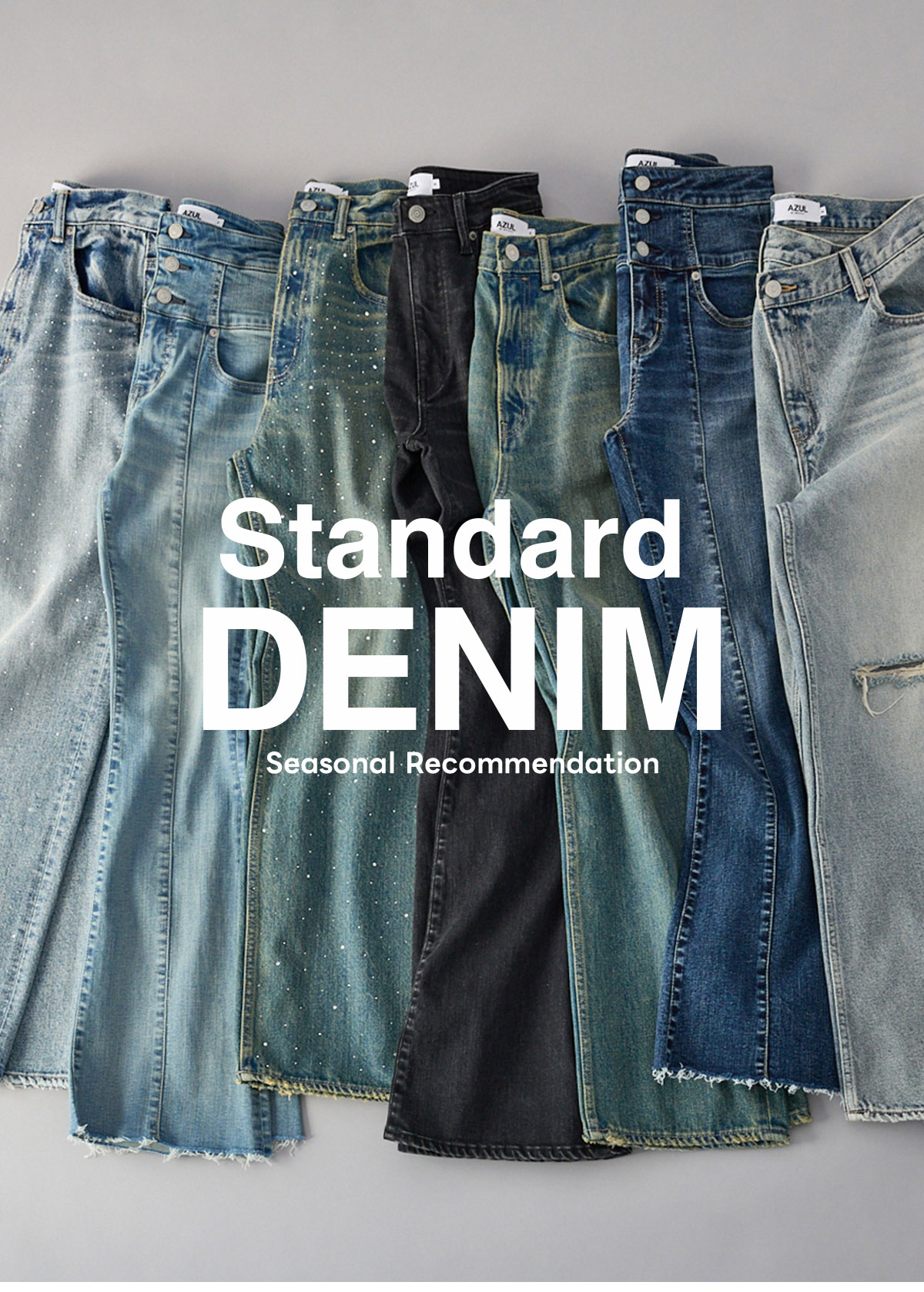 Standard DENIM Seasonal Recommendation