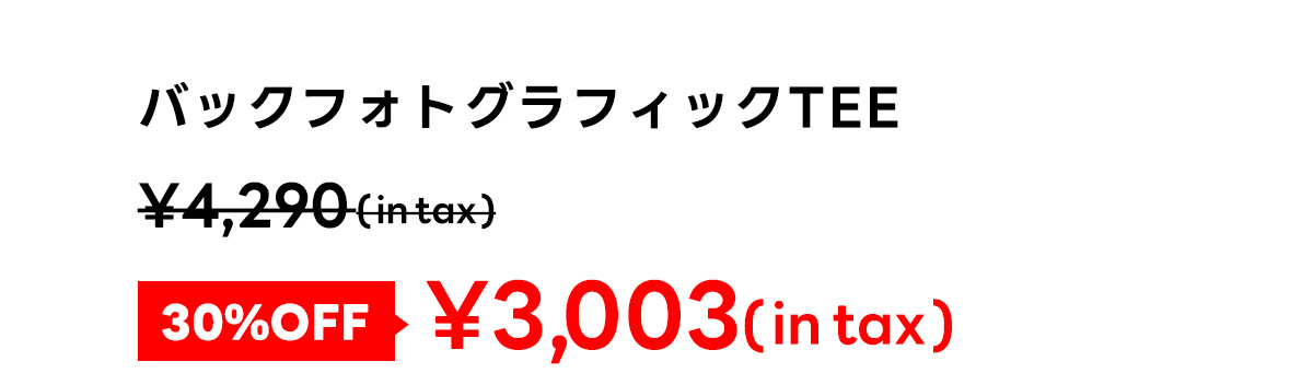 バックフォトグラフィックTEE