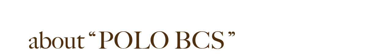 about “POLO BCS”