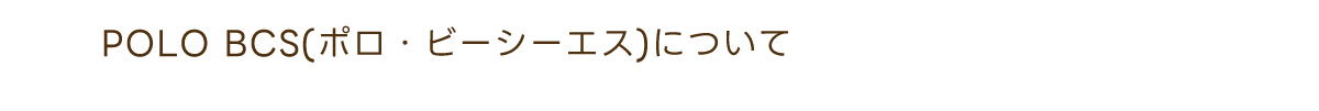 POLO BCS(ポロ・ビーシーエス)について