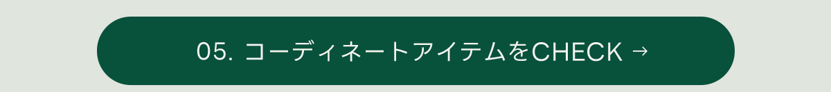 December LOOKBOOK recommended for the holiday season for MEN