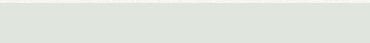 December LOOKBOOK recommended for the holiday season for WOMEN