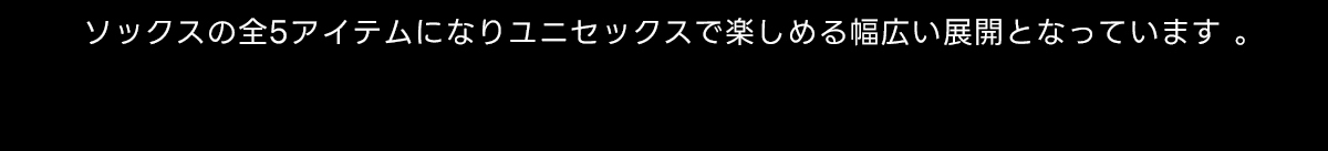 ソックスの全5アイテムになりユニセックスで楽しめる幅広い展開となっています。