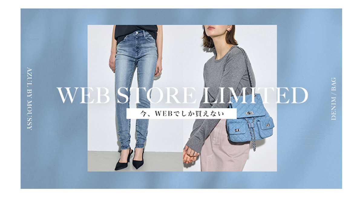WEB STORE LIMITED