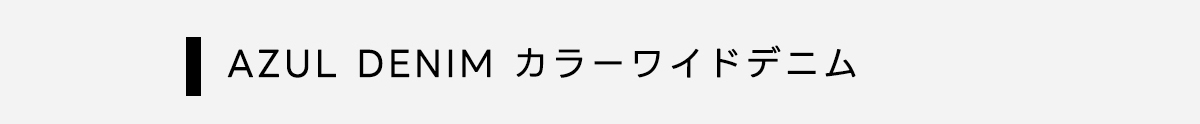 AZUL BY MOUSSY（アズールバイマウジー） | NEW AZUL DENIM 3.6 FRI