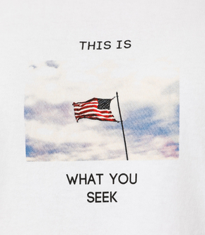 USA FLAG PHOTO TEE/USAフラッグフォトTシャツ 詳細画像