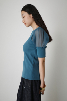 SHEER SLEEVE PUFF TOPS/シアースリーブパフトップス 詳細画像