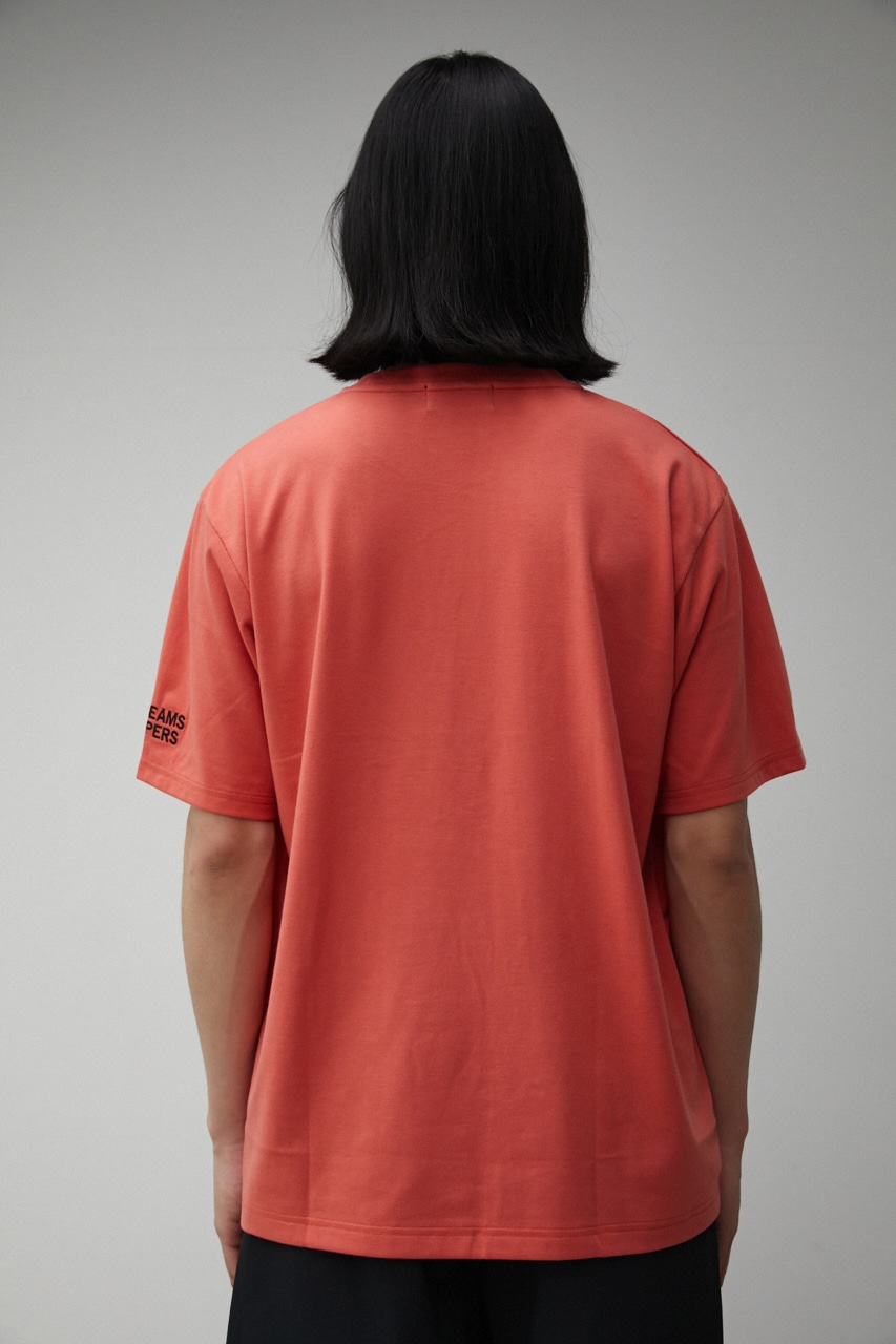 【SUNBEAMS CAMPERS】 ONE POINT LOGO TEE/ワンポイントロゴTシャツ 詳細画像 L/ORG 9