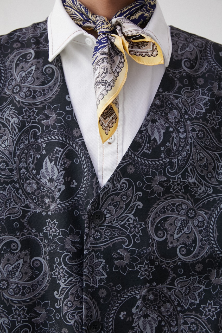 PAISLEY PATTERN VEST/ペイズリーパターンベスト 詳細画像 柄NVY 8