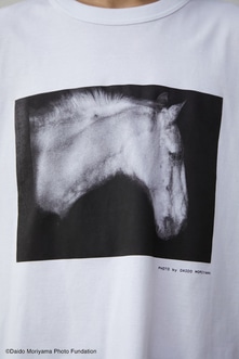 【PLUS】森山大道×PLUS HORSE TEE/森山大道×PLUSホースTシャツ 詳細画像