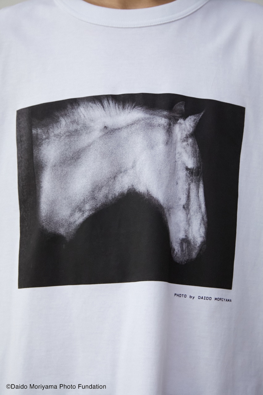 【PLUS】森山大道×PLUS HORSE TEE/森山大道×PLUSホースTシャツ 詳細画像 WHT 13