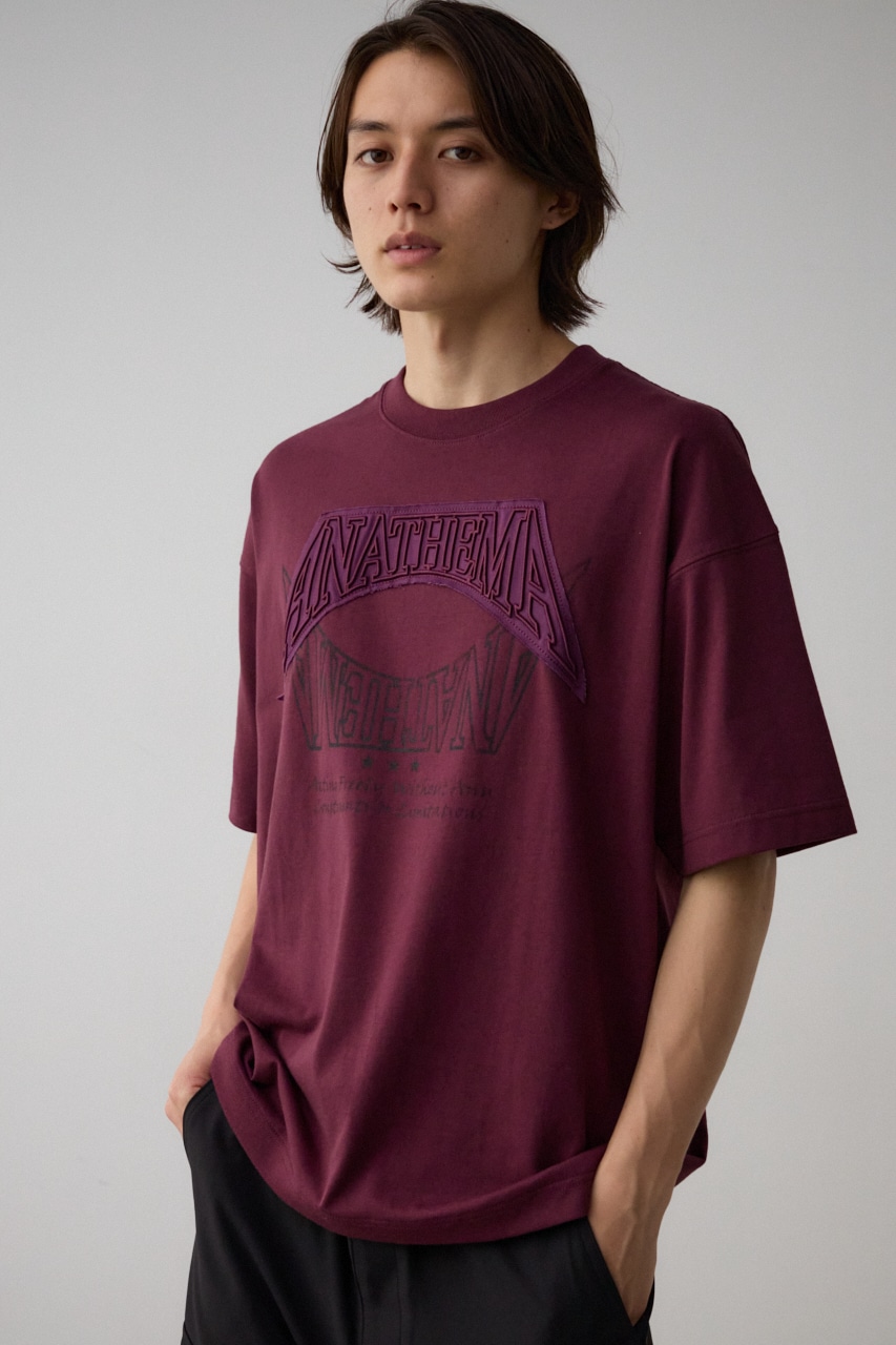 アップリケビッグTシャツ 詳細画像 D/PUR 3