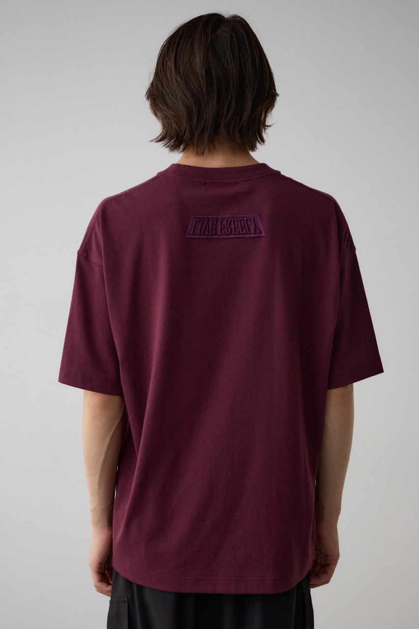 アップリケビッグTシャツ 詳細画像 D/PUR 7