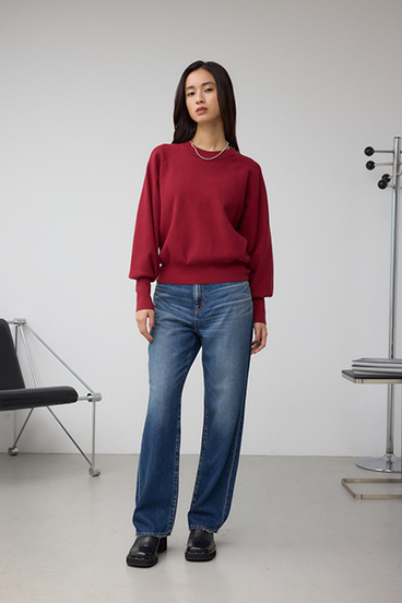 AZUL DENIM VENUSストレートデニム 詳細画像