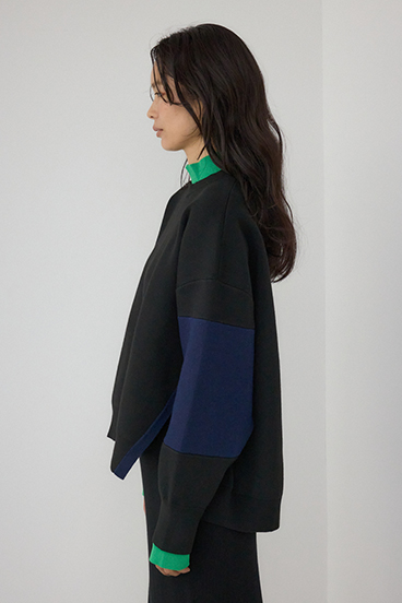 【PLUS】レイヤードライクブロッキングプルオーバー 詳細画像