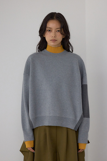 【PLUS】レイヤードライクブロッキングプルオーバー 詳細画像