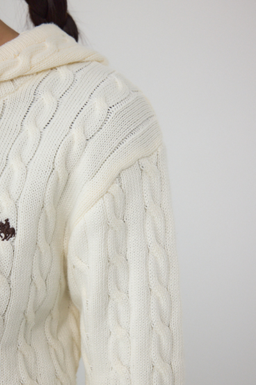 POLO BCS×AZUL WZIPニットパーカー 詳細画像