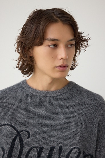 シャギーロゴニット