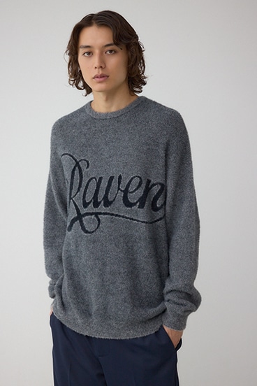 シャギーロゴニット 詳細画像