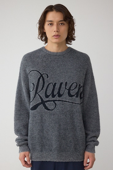 シャギーロゴニット 詳細画像