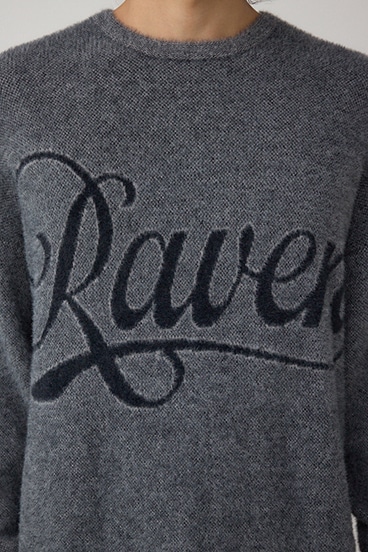 シャギーロゴニット 詳細画像