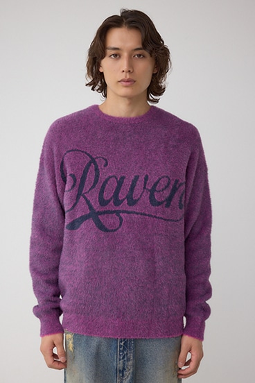 シャギーロゴニット 詳細画像