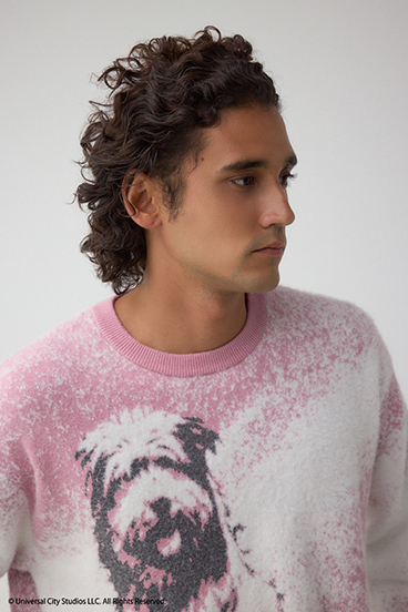 【Back to the Future｜AZUL】アインシュタインニット