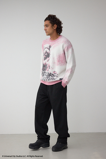 【Back to the Future｜AZUL】アインシュタインニット 詳細画像