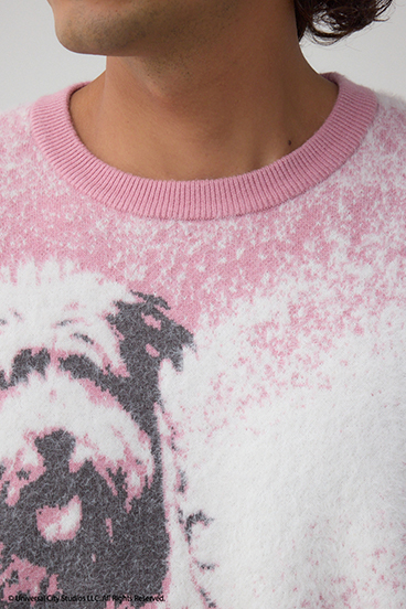 【Back to the Future｜AZUL】アインシュタインニット 詳細画像