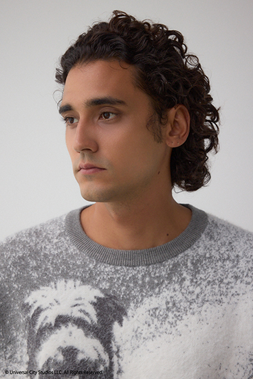 【Back to the Future｜AZUL】アインシュタインニット 詳細画像