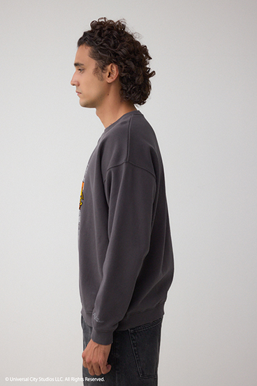 【Back to the Future｜AZUL】カラーフロッキープルオーバー 詳細画像