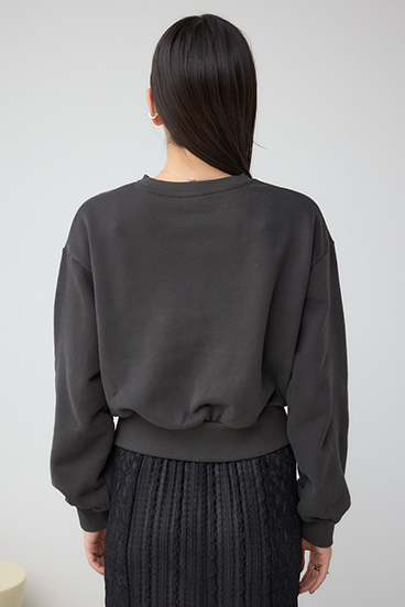 Champion CREW NECK SWEATSHIRT 詳細画像