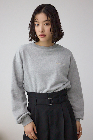 Champion CREW NECK SWEATSHIRT 詳細画像