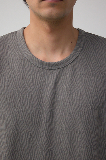 楊柳ジャガードクルーネックTシャツ 詳細画像