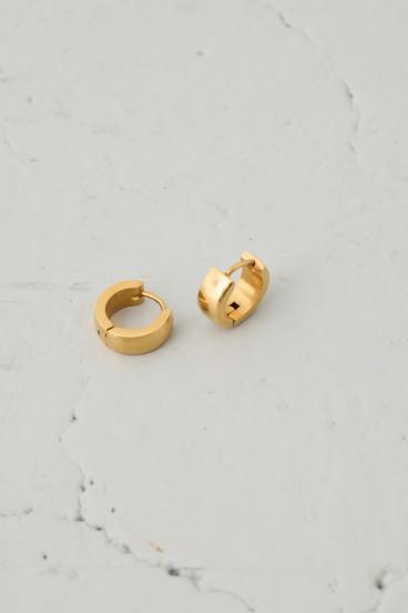 ステンレスメタルプチフープピアス