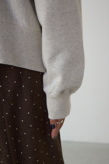 クラックロゴスウェット 詳細画像