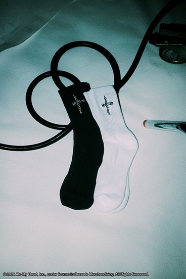 《WEB先行予約》【LADY GAGA】リブソックス