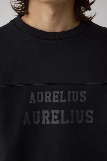 裏起毛パイピングデザイントップス 詳細画像