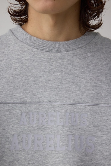 裏起毛パイピングデザイントップス 詳細画像