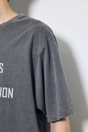 ピグメントTEE 詳細画像