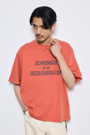 ピグメントTEE 詳細画像