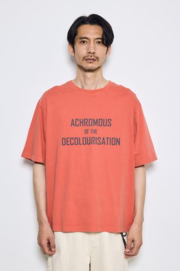 ピグメントTEE 詳細画像