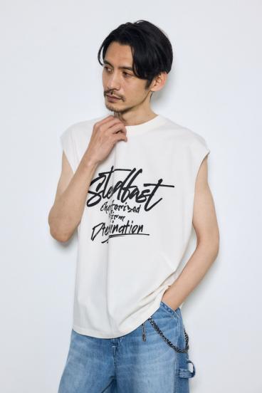 ピグメントノースリ 詳細画像