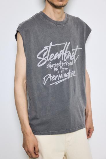 ピグメントノースリ