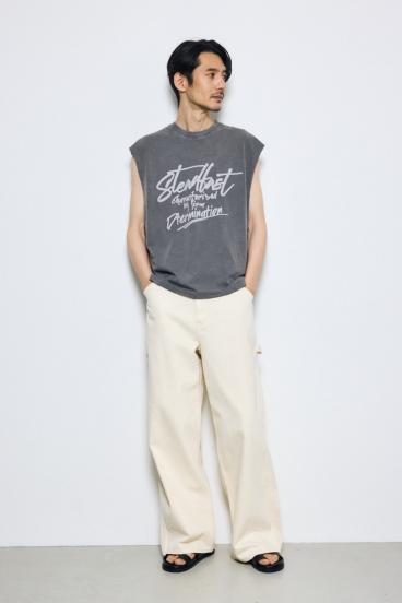 ピグメントノースリ 詳細画像