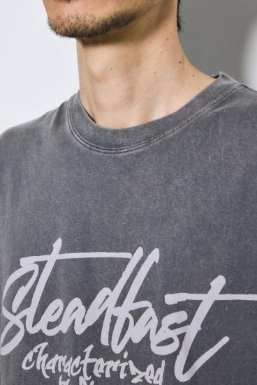 ピグメントノースリ 詳細画像