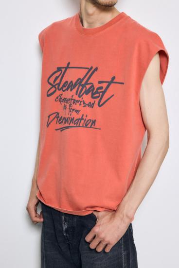 ピグメントノースリ