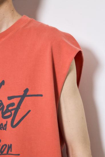 ピグメントノースリ 詳細画像